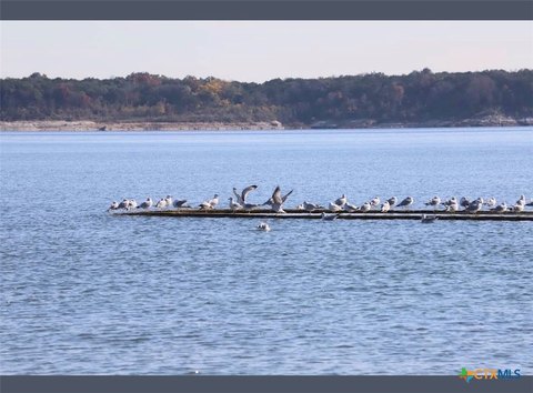 LAND - Belton, TX