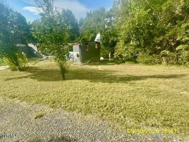 Picture 23