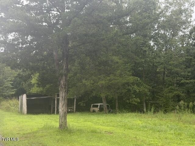 Picture 17