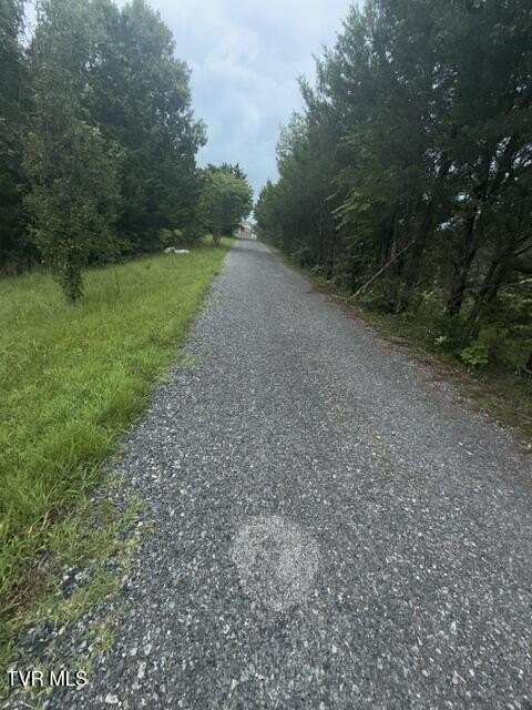 Picture 22