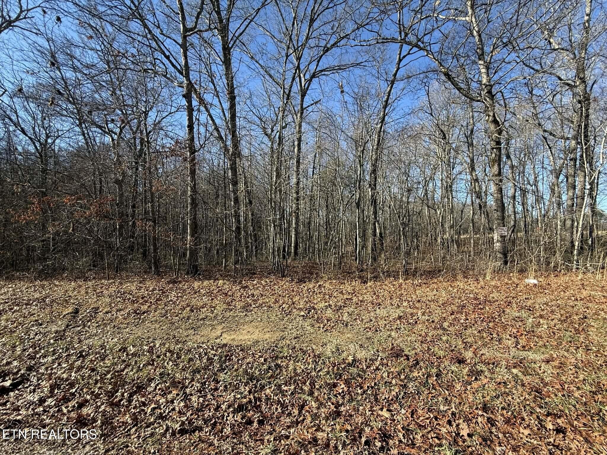 Land in Jamestown, Tennessee