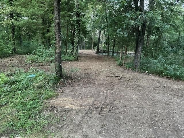 Picture 2