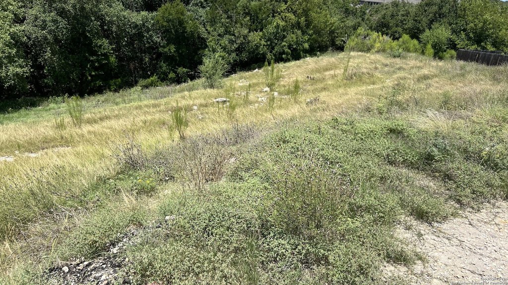 Picture 13