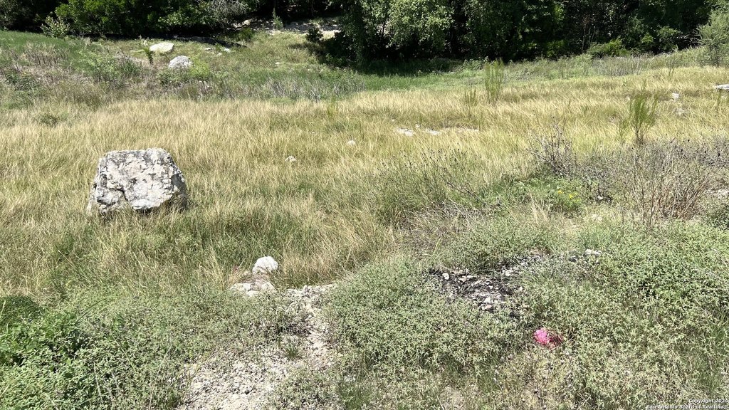 Picture 14