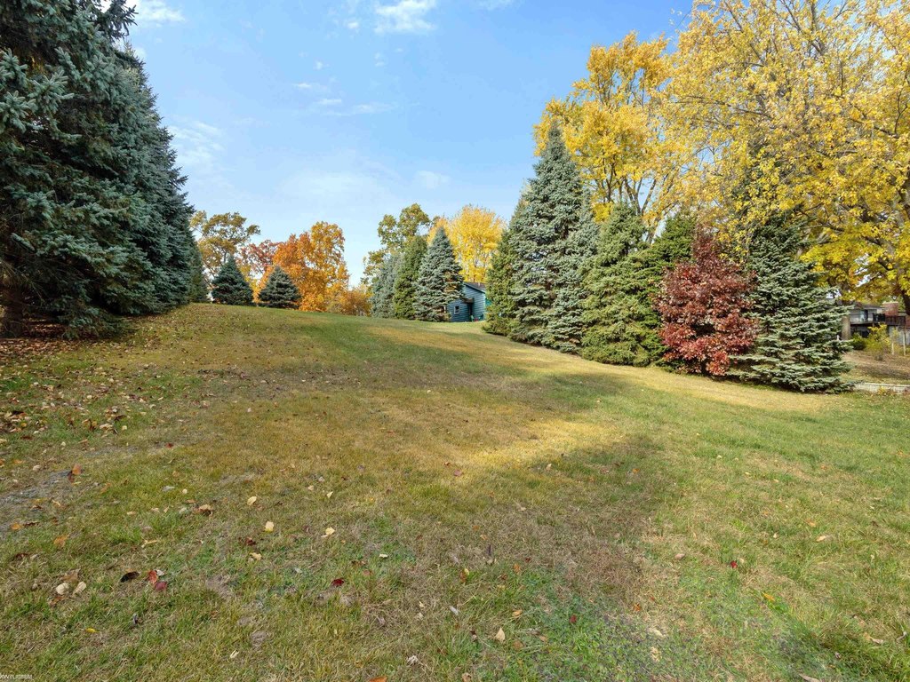 Picture 41