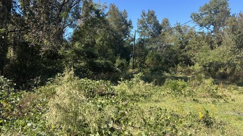 Land, Ariton, AL