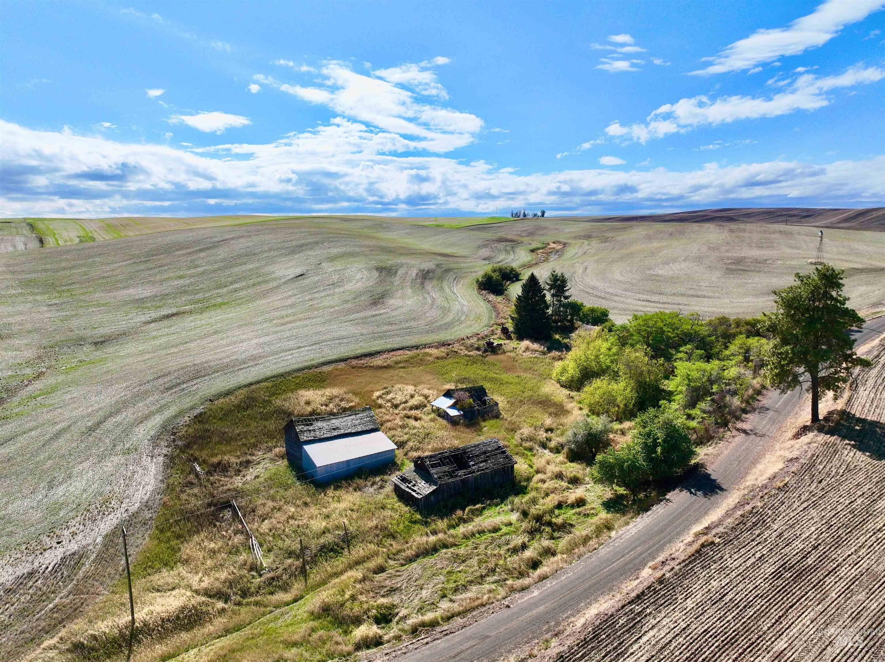 Productive 120-Acre Camas Prairie Land