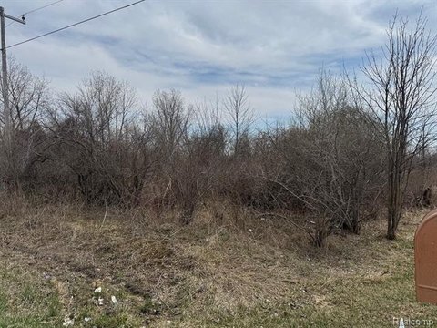 Buildable Lot in Clyde Township