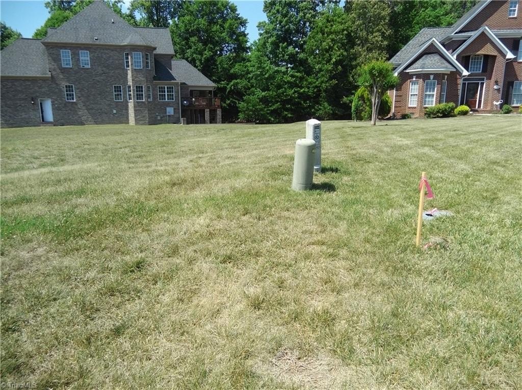 Picture 4