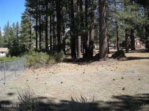 Big Bear Development Opportunity