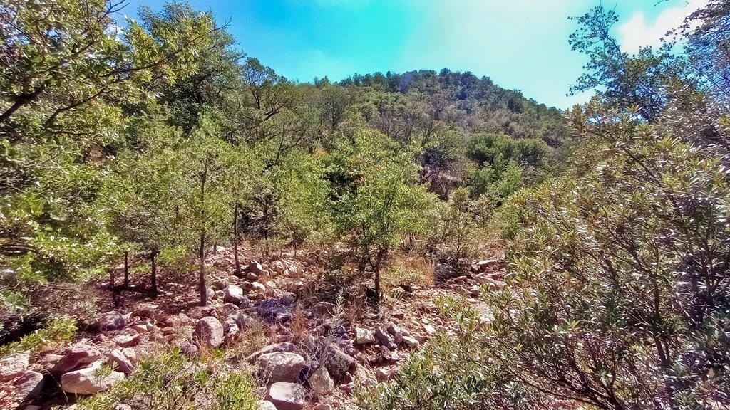Secluded Land with Natural Features