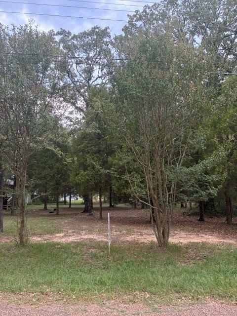Picture 2
