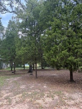 Land, Log Cabin, TX
