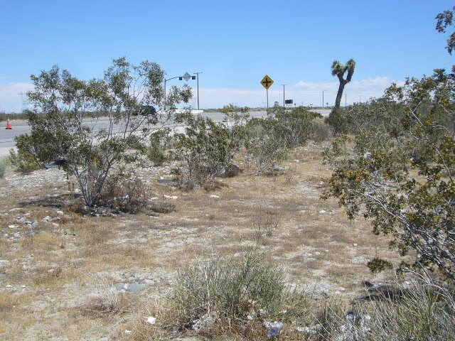 Picture 3