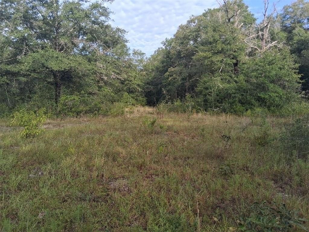 Picture 15