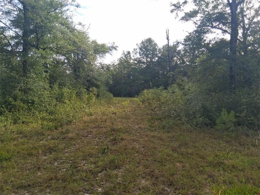 Picture 10
