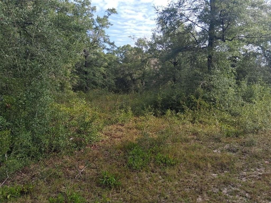 Picture 11