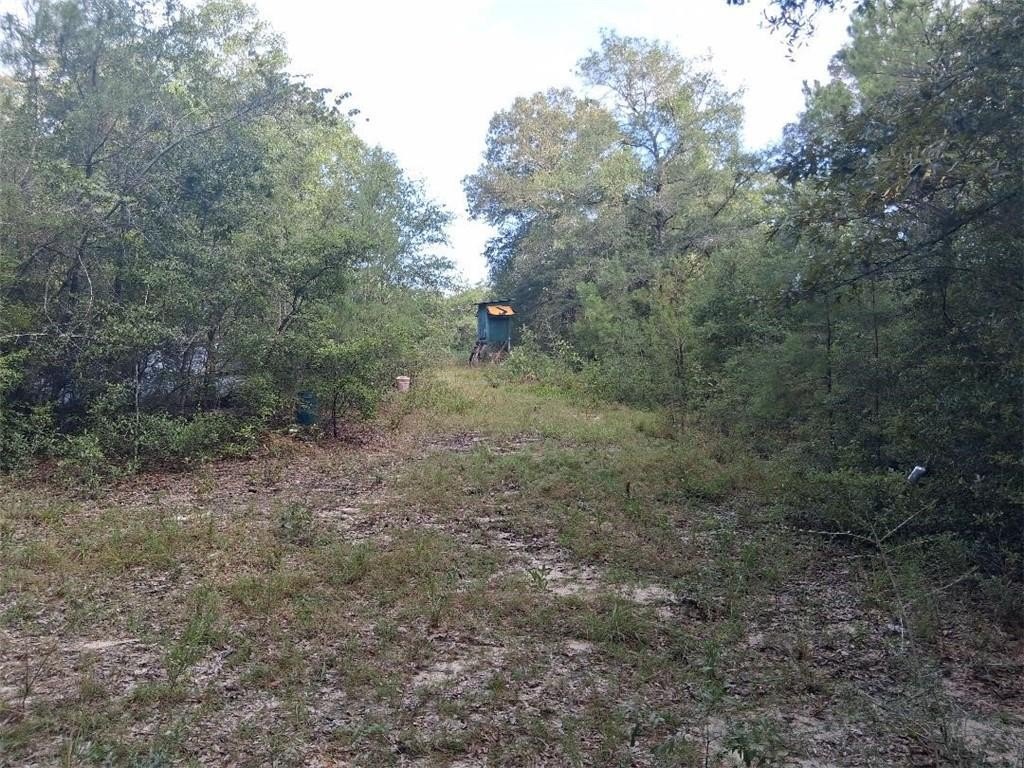Picture 30