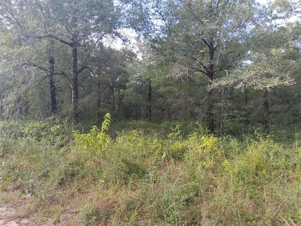 Picture 9