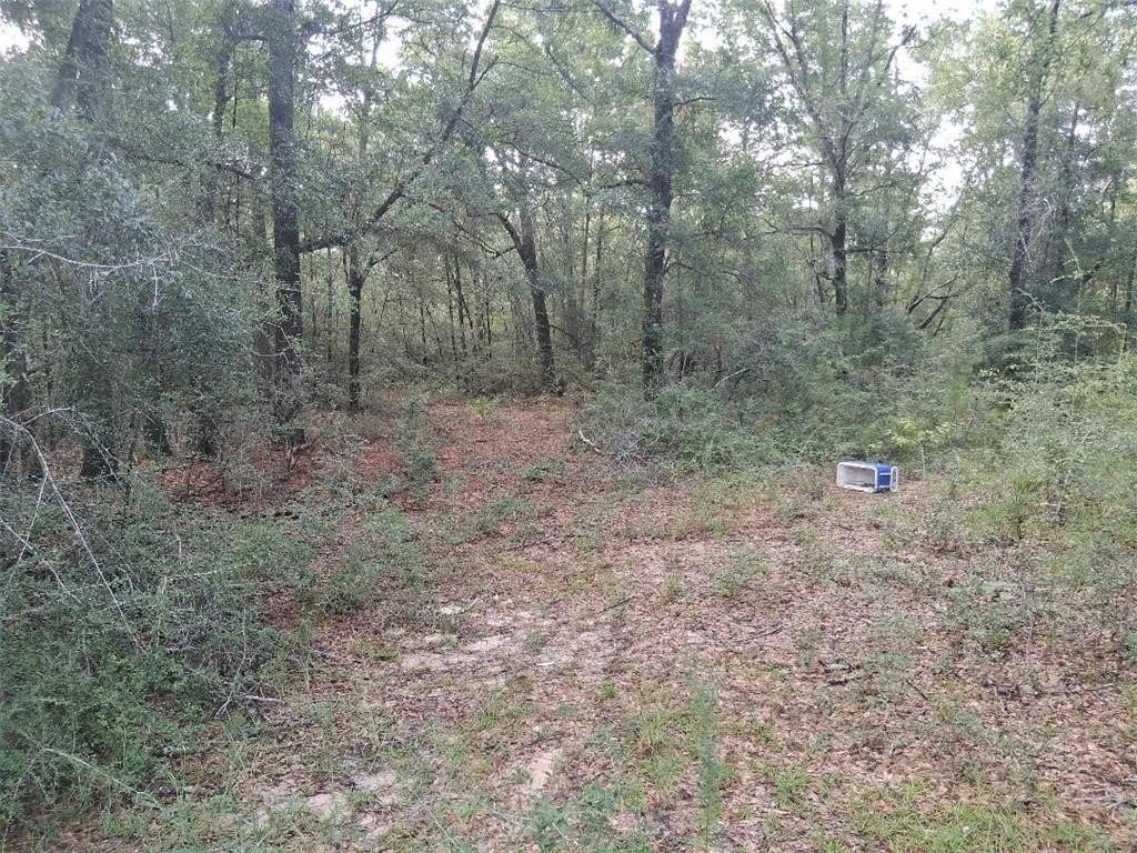 Picture 28