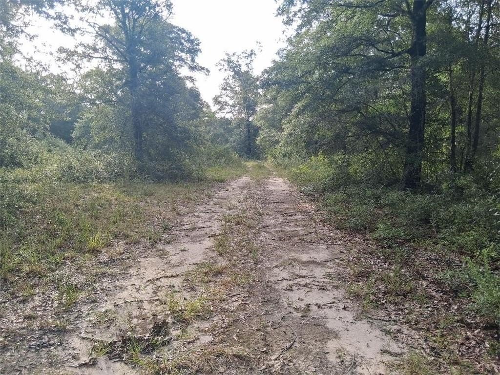 Picture 4