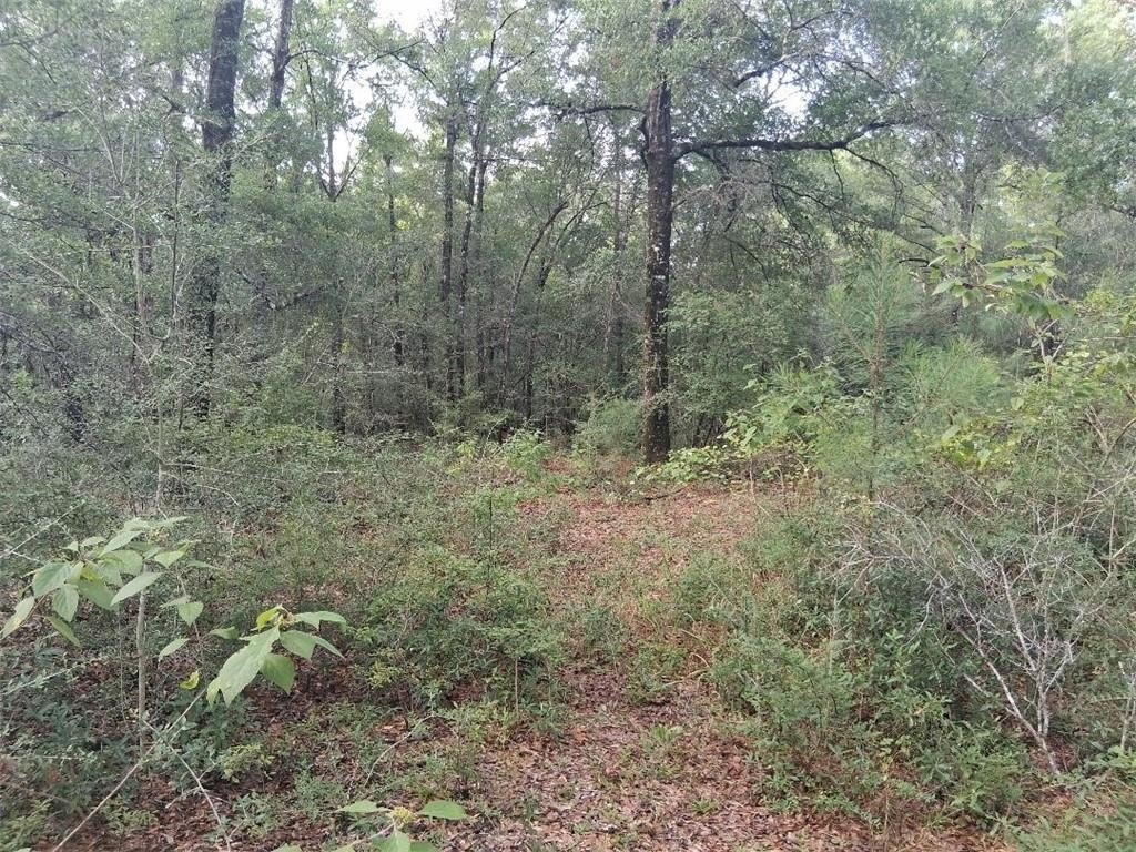 Picture 27