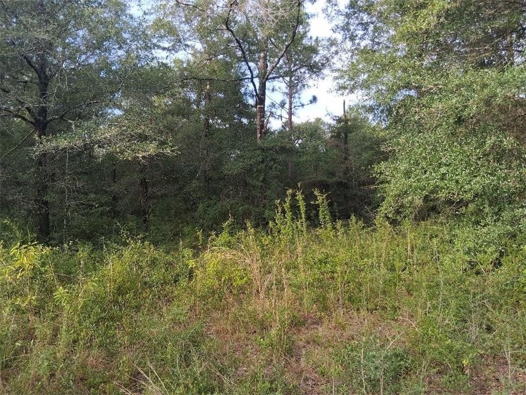 Picture 8