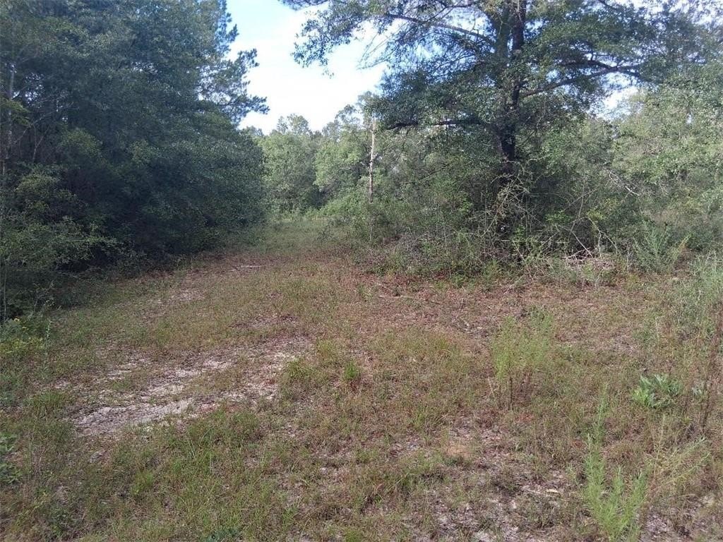 Picture 18
