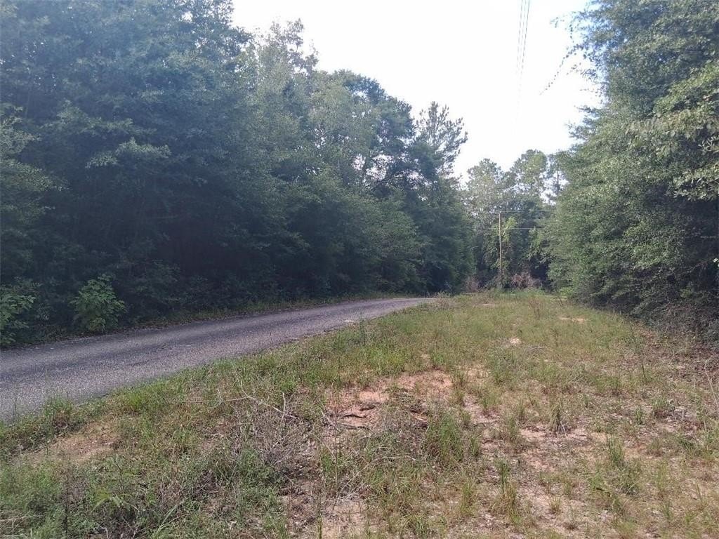 Picture 3