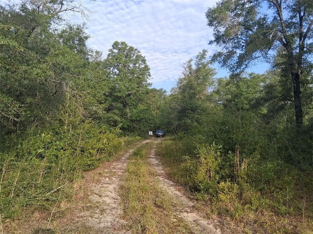 Picture 5