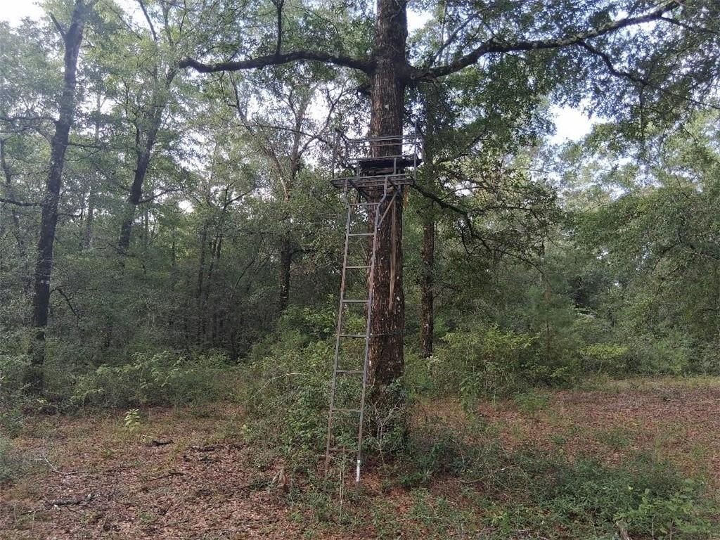 Picture 25