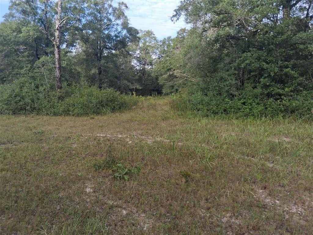 Picture 14