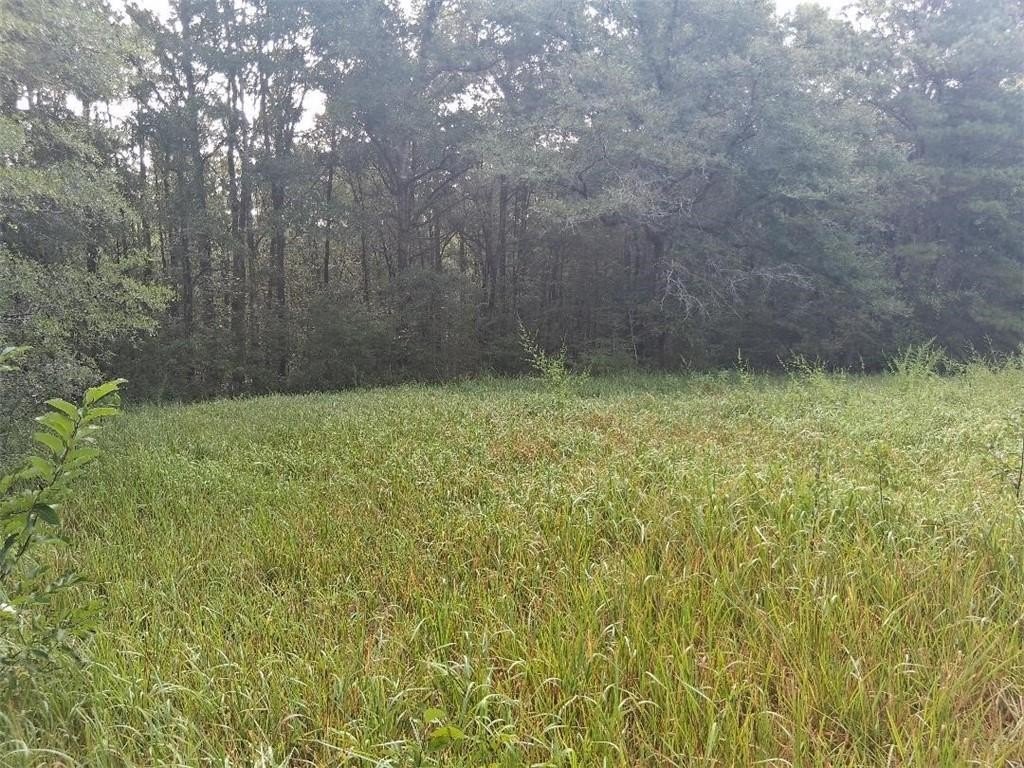 Picture 21