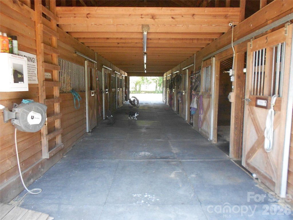 Picture 16