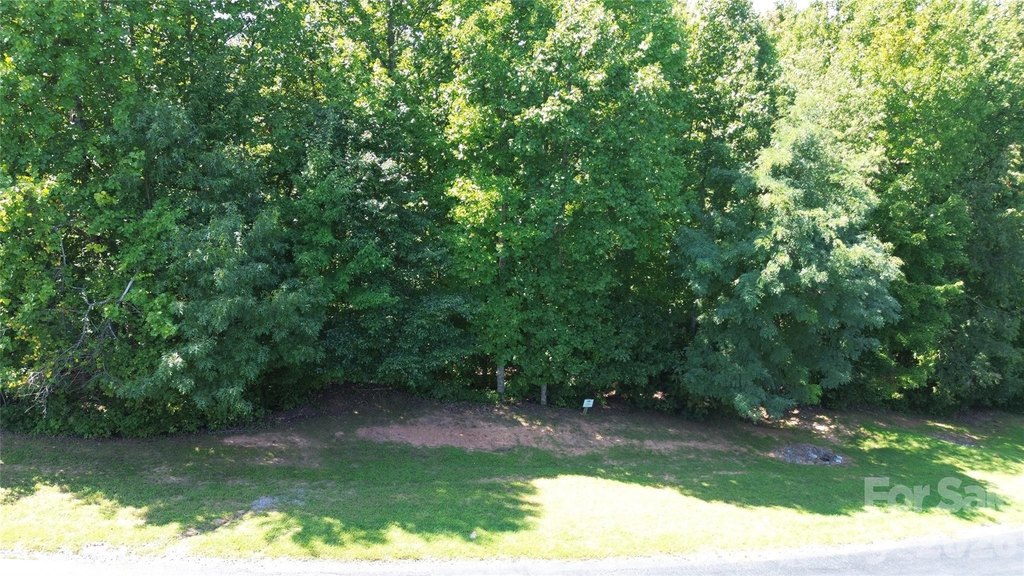 Picture 27