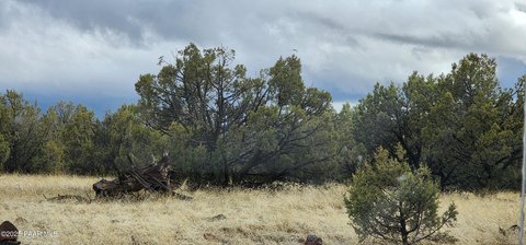 Land in Williams, Arizona