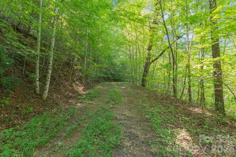 Unrestricted Land Near Bryson City