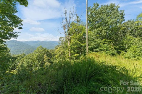 Unrestricted Mountain Hunting Land