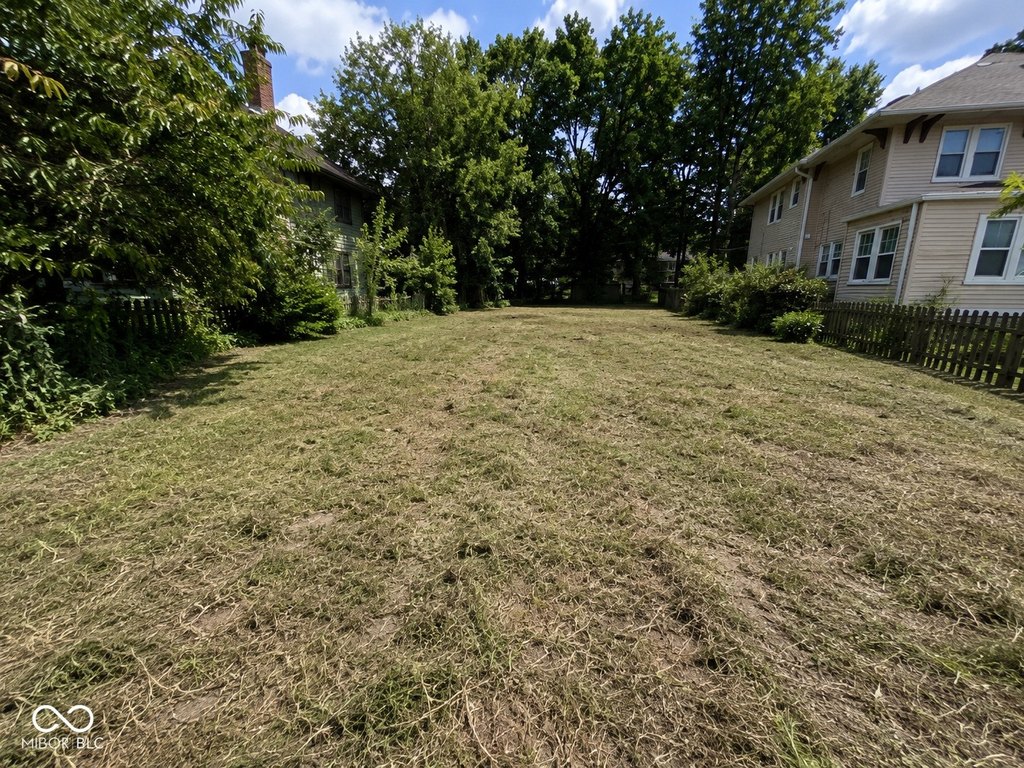 Picture 3