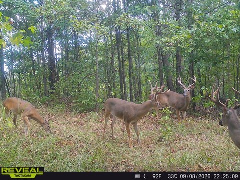 Land, Grenada, MS