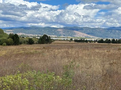 Land Near Tamarack with Views
