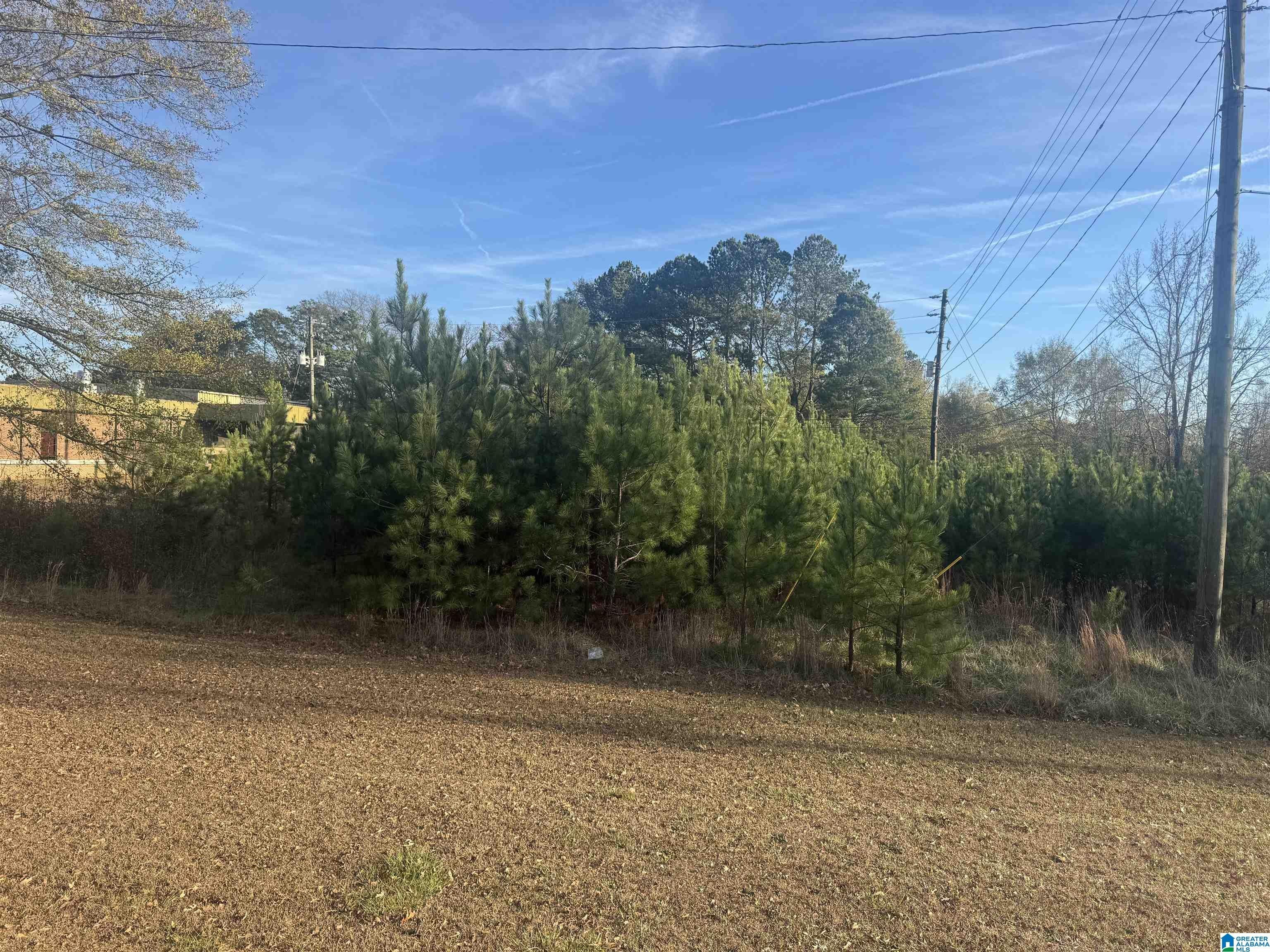 Commercial Land in High-Traffic Location