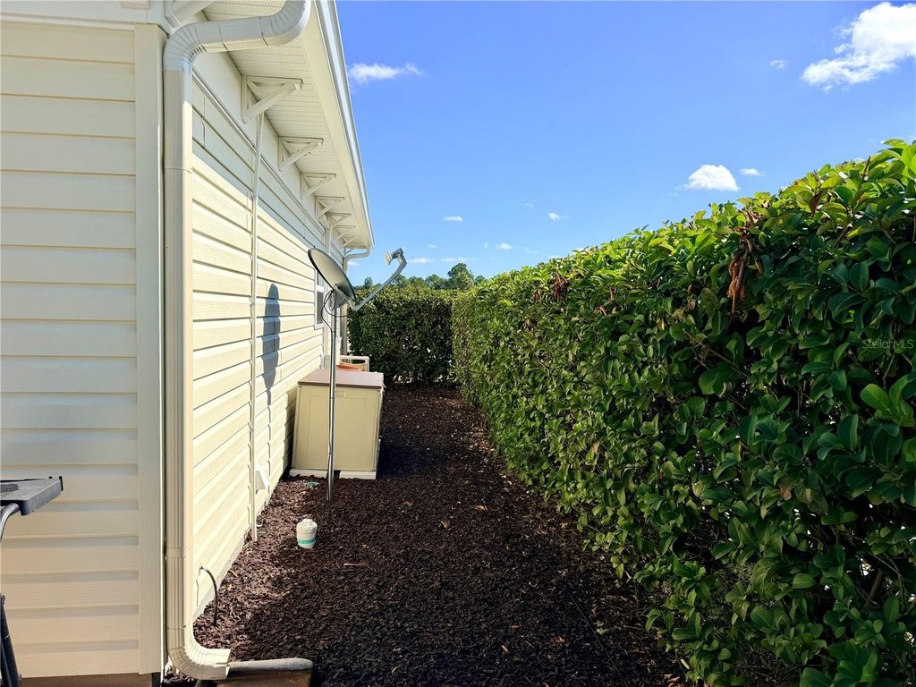 Picture 17