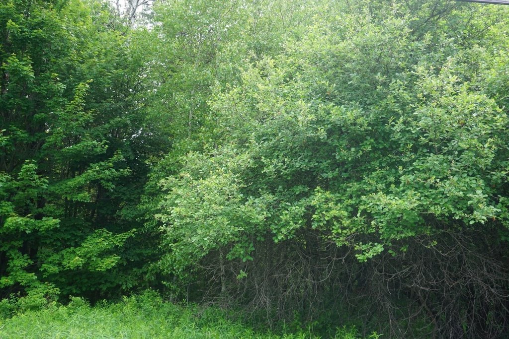 Picture 4
