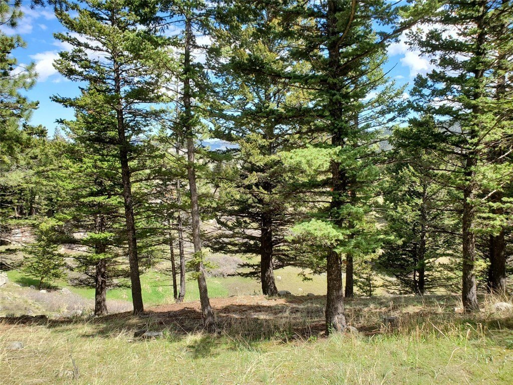 Picture 9