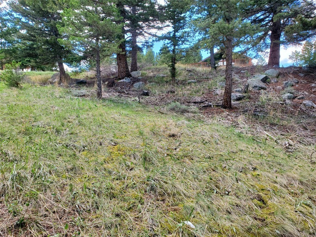 Picture 5