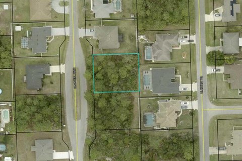 LAND - PALM COAST, FL