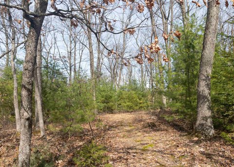 Land Parcel in Quiet Country