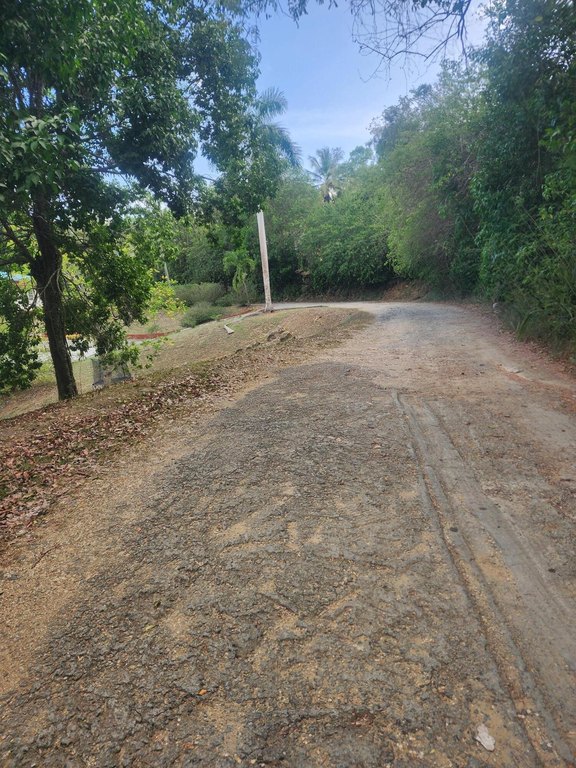 Picture 8