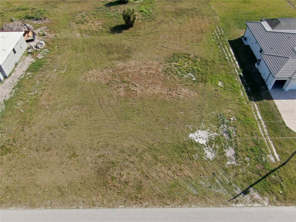 Picture 5